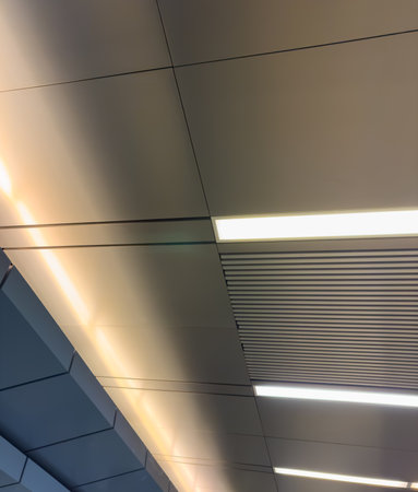 The ceiling is white and has a light strip running down the middle. The light strip is lit up,...