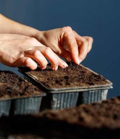A person is planting seeds in small pots. The pots are lined up next to each other, and the person is using their hands to place the seeds in the soil. Concept of care and attention to detailの写真素材