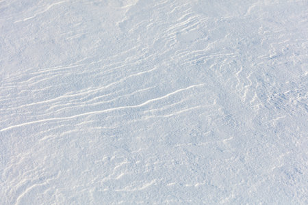 The snow is a bright white color and it covers the ground in a thick layer. The snow is so deep that it almost reaches the ground, creating a beautiful and serene winter landscapeの写真素材