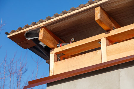 A roof with a wooden beam. The bird is looking down at the ground
