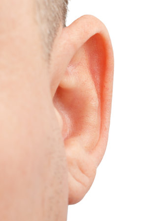 Close up of ear isolated on white background.