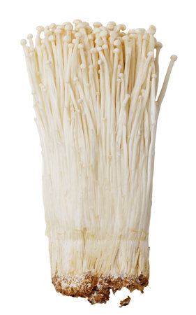 A bunch of white asparagus with a few brown spots. The asparagus is fresh and looks like it's ready to be eatenの写真素材