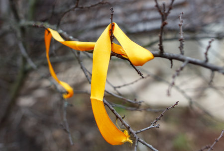 A long yellow ribbon is hanging from a tree branch, tied to the branch. The ribbon is swaying in the...