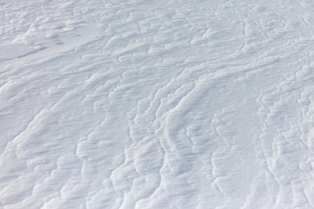 The snow is a bright white color and it covers the ground in a thick layer. The snow is so deep that it almost reaches the ground, creating a beautiful and serene winter landscapeの写真素材