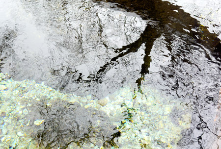 The water is murky and the reflection of the trees is distorted. Scene is somewhat melancholic and contemplativeの写真素材