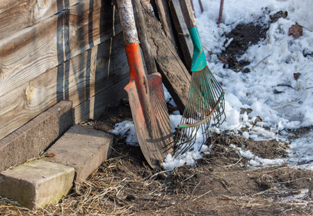 A pair of shovels and a pair of garden forks are leaning against a wooden fence. The shovels are red and orange, and the forks are green. The scene is set in a snowy environment, with the shovelsの写真素材