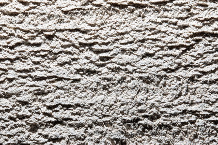 The image is a close up of a wall with a textured surface. The texture is rough and uneven, giving...