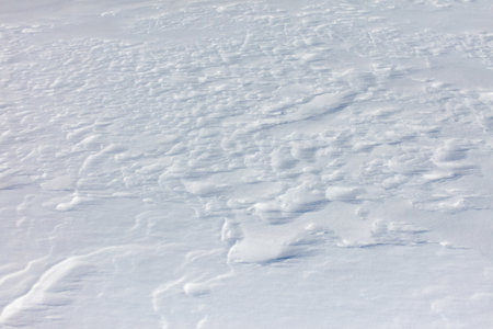 The snow is a bright white color and it covers the ground in a thick layer. The snow is so deep that...