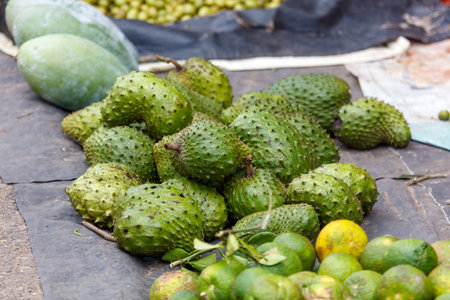 A pile of green fruits with a few oranges and lemons in the background. The fruits are piled up on a black clothの写真素材
