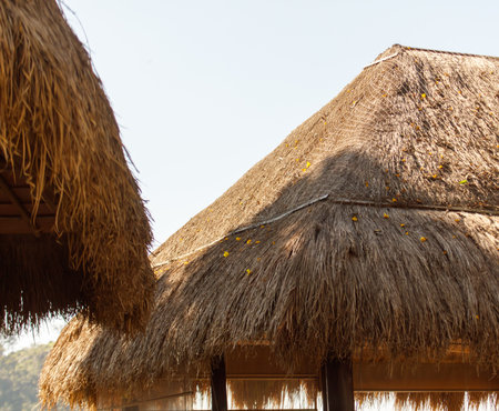 A hut with a thatched roof and a tree in the background. The hut is covered in straw and has a thatched roofの写真素材
