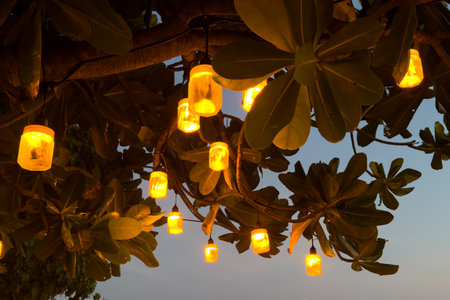 A tree with lights hanging from it. The lights are yellow and are hanging from the branches. The sky...