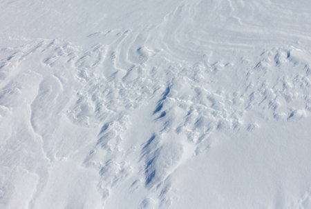 The snow is a bright white color and it covers the ground in a thick layer. The snow is so deep that...