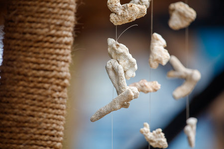 A string of shells hanging from a rope. The shells are of different sizes and shapes. The scene is...