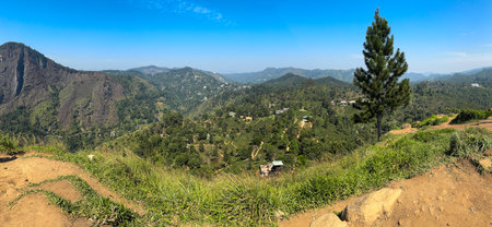 A mountain range with a tree in the foreground. The sky is clear and blue. The view is breathtaking and sereneの写真素材