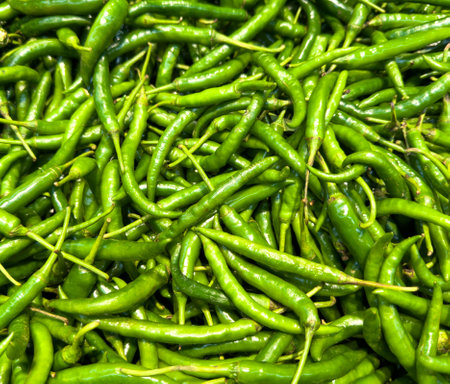 A bunch of green peppers are piled up. The peppers are fresh and green, and they are arranged in a way that makes them look like they are ready to be eaten.の写真素材