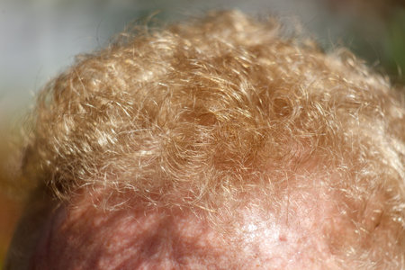 A man with a lot of hair on his head. The hair is light brown and he is curlyの写真素材
