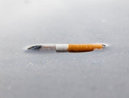 A cigarette butt is floating in a body of water. Concept of pollution and environmental damageの写真素材