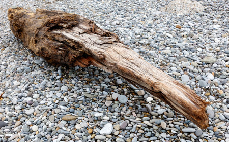 A large piece of wood is laying on the ground next to a pile of rocks. The wood appears to be weathered and old, and it is surrounded by a rocky landscape. Concept of solitude and natural beautyの写真素材