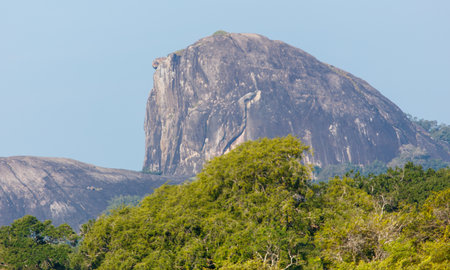 A mountain with a large rock on top and a forest below. The mountain is covered in trees and the sky is clearの写真素材