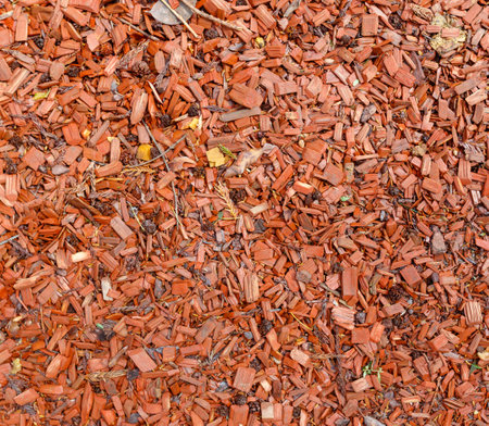 A pile of red leaves and twigs. The leaves are scattered and the twigs are piled on top of them