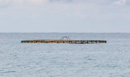 A large blue and yellow net is floating in the ocean. The net is surrounded by water and is not touching the shoreの写真素材