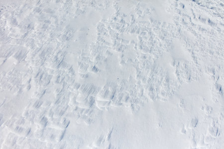 The snow is a bright white color and it covers the ground in a thick layer. The snow is so deep that it almost reaches the ground, creating a beautiful and serene winter landscapeの写真素材