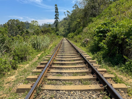 A train track is shown in a lush green forest. The train tracks are old and rusty, and the train is not visible. Concept of nostalgia and a connection to natureの写真素材