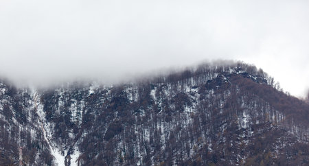 A mountain covered in snow with a foggy sky. The mountain is covered in trees and the sky is cloudyの写真素材