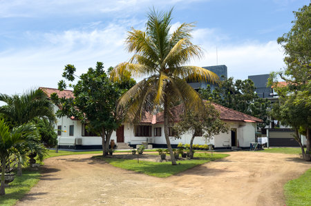 A house with a palm tree in front of it. The house is white and has a red roof. The palm tree is tall and has brown leaves. The house is surrounded by a small garden with potted plantsの写真素材