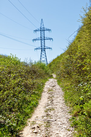 A power line tower is in the background of a path. The path is surrounded by trees and grassの写真素材