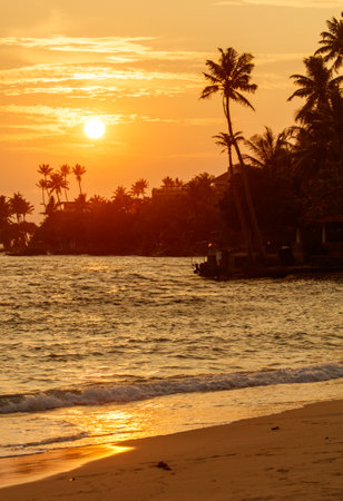 A beautiful sunset over the ocean with palm trees in the background. The sky is orange and the water is calmの写真素材