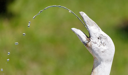 A white bird with a beak is spraying water. The water is coming out of the bird's beak, creating a misty spray. The scene is peaceful and calmingの写真素材