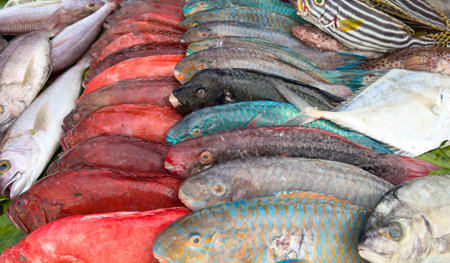 A variety of fish are displayed in a market, including some red and blue fish. The fish are arranged in a way that makes them look fresh and appetizingの写真素材