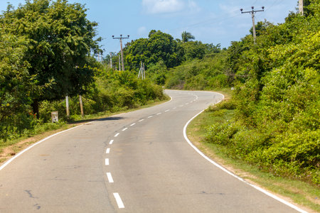 A winding road with trees in the background. The road is empty. The trees are green and the sky is blueの写真素材