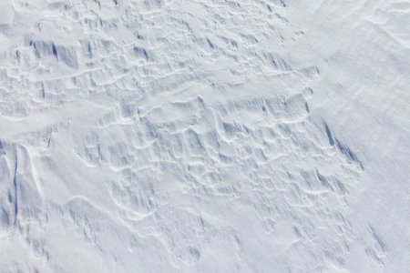 The snow is a bright white color and it covers the ground in a thick layer. The snow is so deep that it almost reaches the ground, creating a beautiful and serene winter landscapeの写真素材