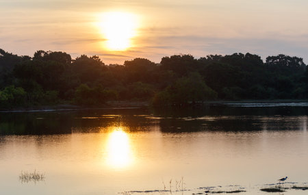 The sun is setting over a calm lake, casting a warm glow over the water. A bird can be seen flying over the surface, adding a sense of movement and life to the scene. Scene is tranquil and sereneの写真素材