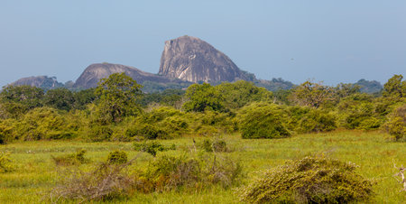 A large mountain is in the background of a field of grass. The sky is clear and the sun is shiningの写真素材