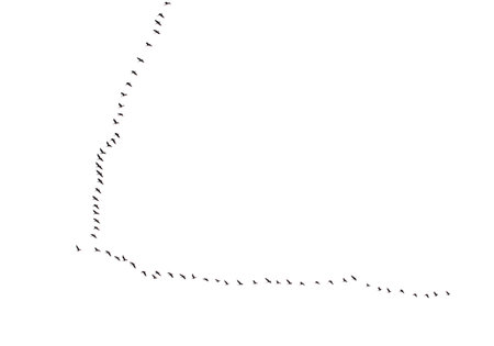 A flock of birds flying in a line across a white background. The birds are in various positions, some closer to the left side of the image and others further to the rightの写真素材