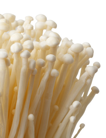 A bunch of white mushrooms with a white background. The mushrooms are clustered together and have a somewhat fuzzy appearanceの写真素材