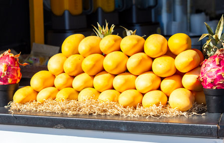 A pile of yellow mangoes sits on a counter next to a potted plant. The arrangement of the fruit is visually appealing and invitingの写真素材