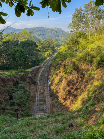 A train track is shown in the foreground of a lush green hillside. The train tracks are surrounded...