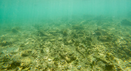 A very green and murky ocean floor. The water is murky and the rocks are covered in algae. Scene is somewhat eerie and unsettling, as the murky waterの写真素材