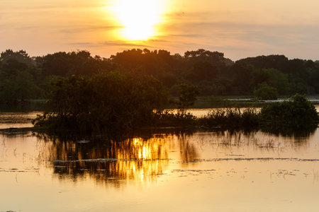 A sunset over a body of water with trees in the background. The water is calm and the sky is orangeの写真素材