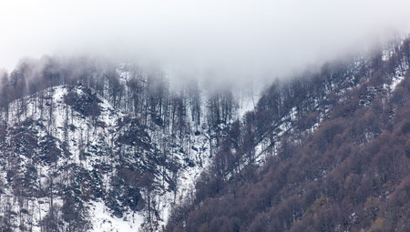 A mountain range covered in snow and trees. The sky is cloudy and the mountains are covered in snowの写真素材