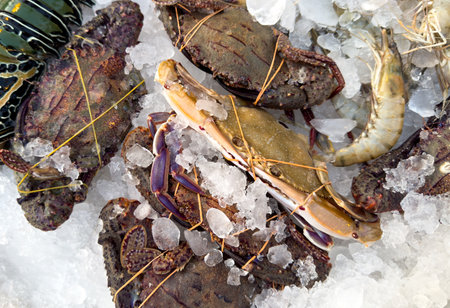 A bunch of seafood is on ice, including shrimp, crabs, and lobsters. The ice is thick and the seafood is tightly wrapped in stringの写真素材