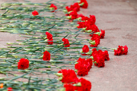 A row of red flowers are scattered on the ground. The flowers are arranged in a way that they form a circle. Concept of loss and sadness, as the flowers have been left behindの写真素材