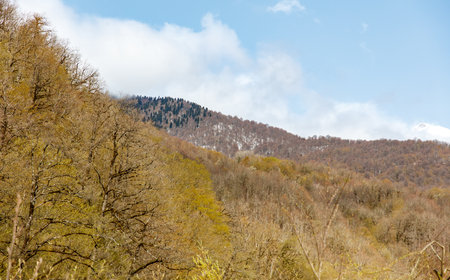 A mountain range with trees in the foreground and a cloudy sky in the background. The trees are brown and bare, and the sky is blue with some clouds. Scene is peaceful and serene, with the mountainsの写真素材
