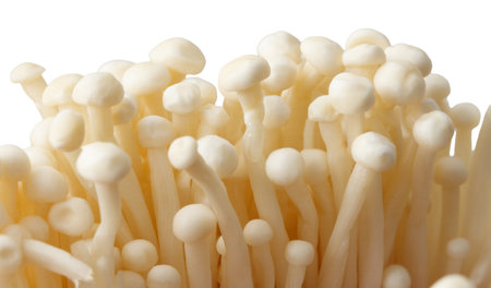 A bunch of white mushrooms with a white background. The mushrooms are clustered together and have a somewhat fuzzy appearanceの写真素材