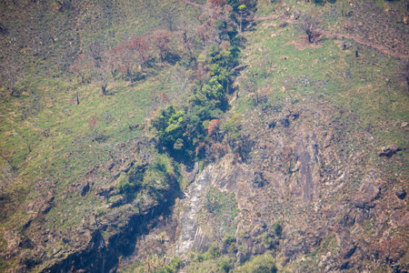 A mountain with a path through it and trees. The trees are green and the path is rockyの写真素材