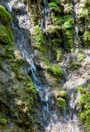 A mossy rock with a waterfall on it. The water is clear and the moss is greenの写真素材